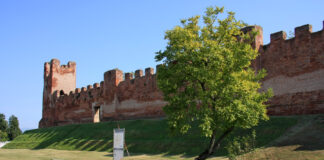 Giovane investito sulle strisce a Castelfranco