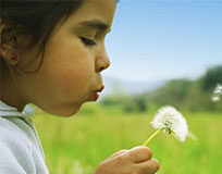 Allarme pollini, i trucchi per affrontarli al meglio