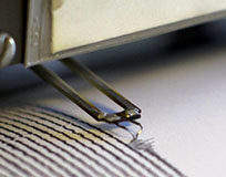 Marca: la terra trema ancora