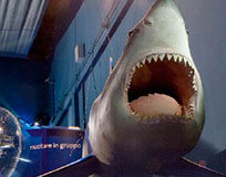 Tutti al museo per un’estate alternativa