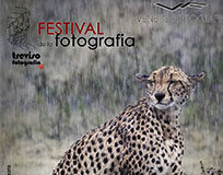 La meraviglia della natura negli scatti di Trevisofotografia Off