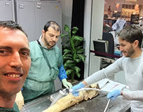 Anatomia in mano, un corso unico: la Marca in cattedra