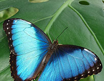 Le più belle avventure nei parchi del Veneto