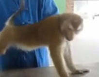 Molto meglio di tanti atleti