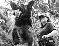 Lotta allo spaccio a Mestre, hashish sequestrata