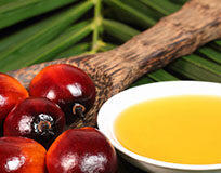 Olio di palma, qual è la verità?