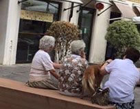 Santa Maria dei Battuti: quelle panchine che dividono