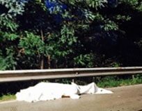 Pirata della strada a Treviso: morto un uomo