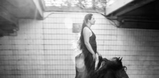 “Transhumance”: un viaggio fotografico oltre i confini che separano l’uomo dagli altri animali