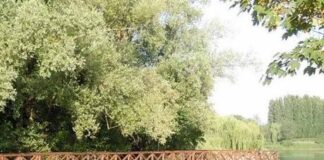 A febbraio 2016 lavori alla passerelle dei Burci