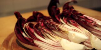 Interesse (Non) Comune, a Scorzè tre giorni di eventi per non mollare