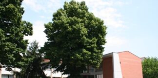 MAESTRA “INADEGUATA”, PRIMA ELEMENTARE IN SCIOPERO