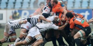 Le Zebre si sbranano i Leoni