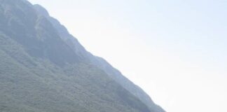 Tragedia nel coneglianese, tentato omicidio e suicidio dettati dalla gelosia