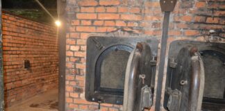 Per non dimenticare MAI. Il “Giorno della Memoria” nelle scuole