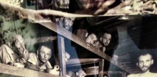 Giornata della Memoria e Giorno del Ricordo: ecco gli appuntamenti