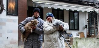 Simone Furlan, animalista convinto, scende in campo contro sgombero di Adriana e i suoi cani.