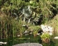 Speciale CASA e Fai Da Te: Il calendario della primavera