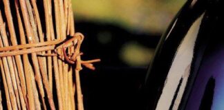 La Caneva dai Boret, nuova perla di Valdobbiadene