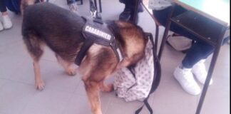 Carabinieri col cane antidroga dentro gli istituti scolastici