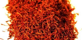 Ladra di zafferano a processo