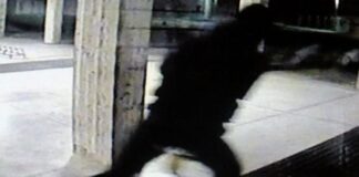 Reddito di cittadinanza, donna rubava per “arrotondare”