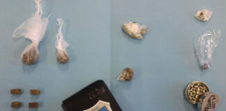 Polizia locale all’opera: denunciati spacciatore e writer