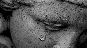 Le 5 Leggi Biologiche: la prima legge