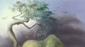 Le 5 Leggi Biologiche: la Quinta legge