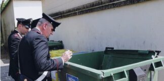 Ormelle sotto shock; feto gettato in un cassonetto