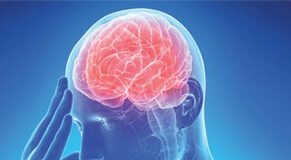 Le 5 Leggi Biologiche: cosa sono