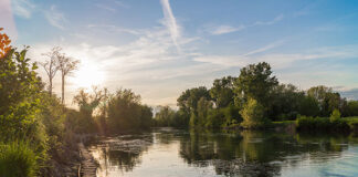 CINEMA E FORMAZIONE: IL VALORE DEL TERRITORIO E DELLE TRADIZIONI
