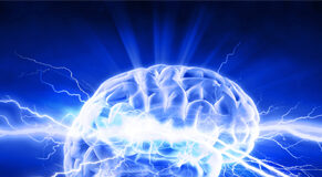 Le 5 Leggi Biologiche: la seconda legge