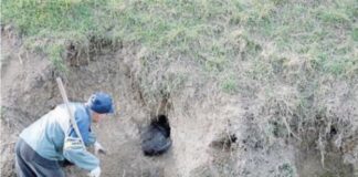 Caso Nutrie, cacciatori di San Donà pronti a sparare