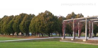 Furti a Mestre. Condanne per 18 mesi