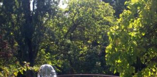 Piraghetto di Mestre, notte ad ammirare le stelle