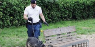 Cane poliziotto trova altra droga al parco Albanese di Mestre