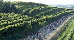 Granfondo Pinarello 2016: la classifica dei Veneziani nel medio