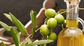 La Marca terra di Prosecco e d’olio d’oliva d’eccellenza.