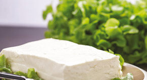 Una Tradizione lunga 60 anni nel territorio Veneto