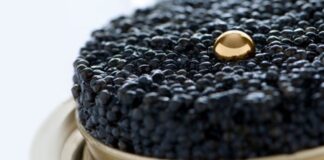 Caviale un’eccellenza italiana