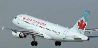 «La mia grappa è una bomba»: aereo bloccato