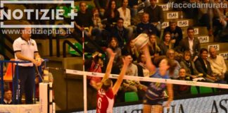 Pantere schiacciasassi