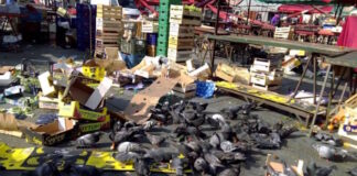 Rifiuti, le soluzioni di Legambiente