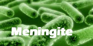 Treviso, ricoverato un uomo di 55 anni per meningite