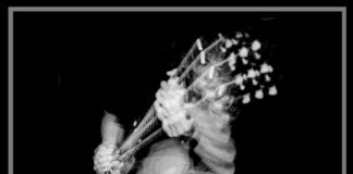 A Piola le “strobofoto musicali” di Marco Zambon