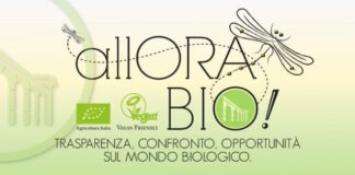 Domani primo appuntamento con il vino biologico alla Cantina Pizzolato di Villorba