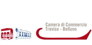 “Sostenibilità: dal Fare al Dire”, il corso gratuito della Ccia di Treviso-Belluno per manager e imprenditori