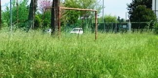 ERBA ALTA SU STRADE E ROTONDE. PROVINCIA SENZA SOLDI PER LO SFALCIO. E PERICOLO PER LA VIABILITA’