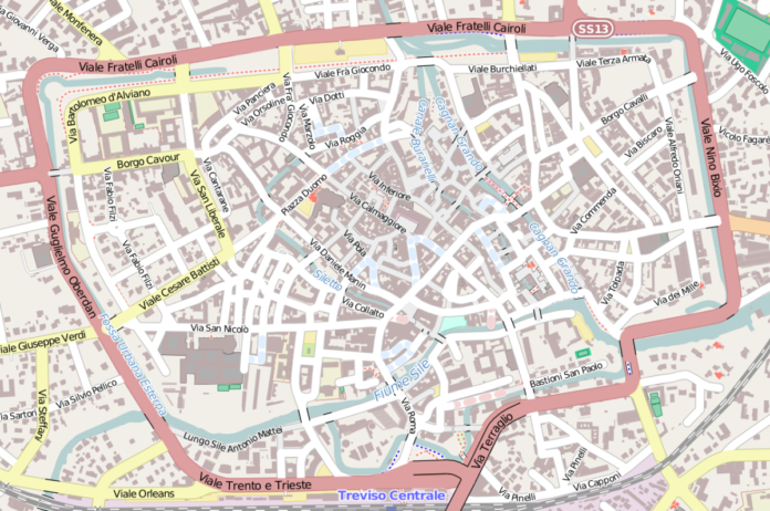 pianta treviso